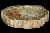 Colorful Polished Petrified Wood Dish - Madagascar #142808-3